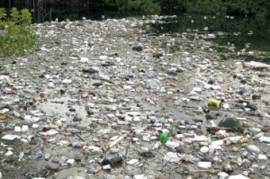 Plastic pollution in our gullies washes down into the sea, all over the island.