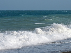 The sea is ever-present. I took this photograph at Port Royal last year (on the open sea side).