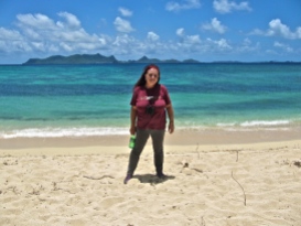 Standing on a hot beach in the Grenadines...